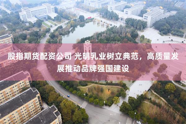 股指期货配资公司 光明乳业树立典范，高质量发展推动品牌强国建设