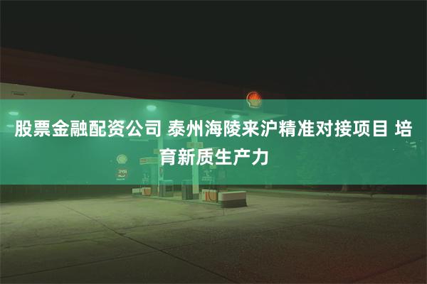 股票金融配资公司 泰州海陵来沪精准对接项目 培育新质生产力