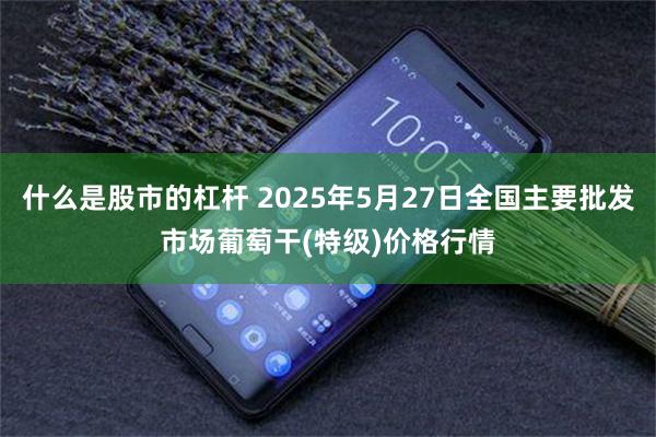 什么是股市的杠杆 2025年5月27日全国主要批发市场葡萄干(特级)价格行情