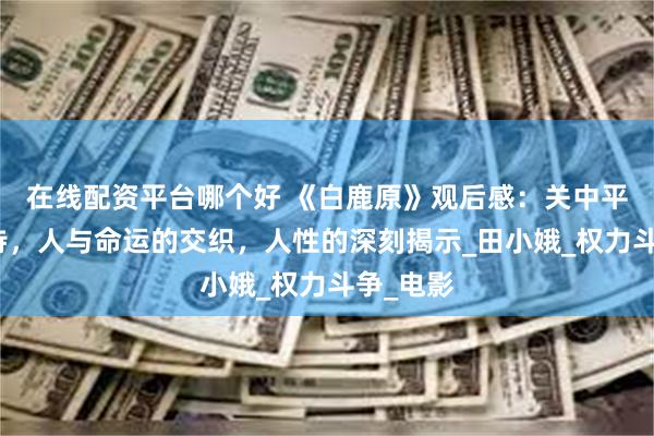 在线配资平台哪个好 《白鹿原》观后感：关中平原的史诗，人与命运的交织，人性的深刻揭示_田小娥_权力斗争_电影